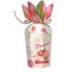 Heidi Boquet 120g Jahoda